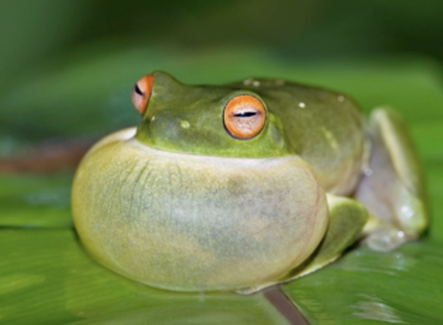 EU Starts Deducting Huge Fine from Hungary’s European Funds